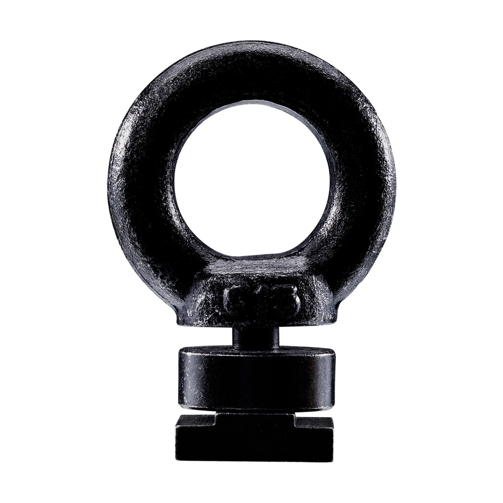 Thule Caprock eye bolt kit