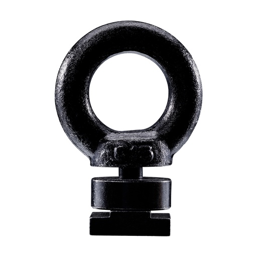 [320003] Thule eye bolt